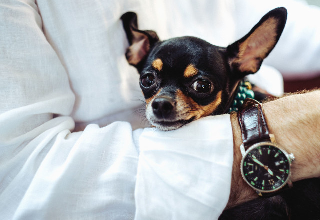 How To Get Current Timestamp YourBasic Go